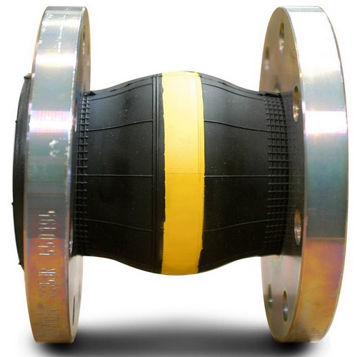ANSI/ASME rubber joint